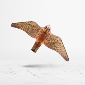 Cometas espatapájaros en forma de halcón