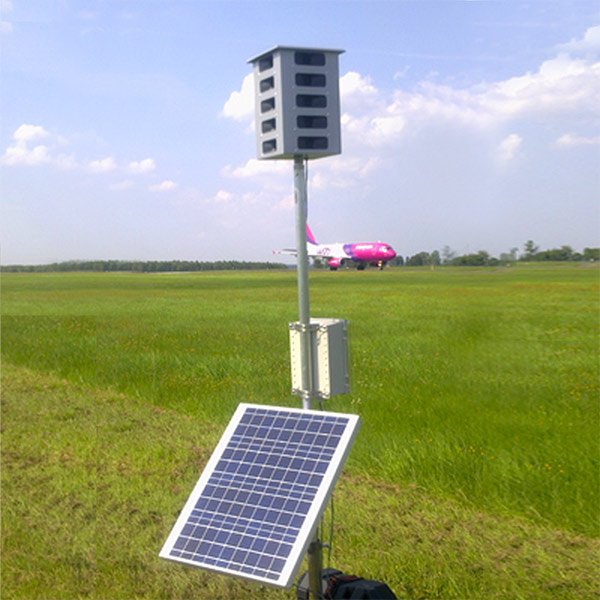 Super Pro AMP - Imagen 2